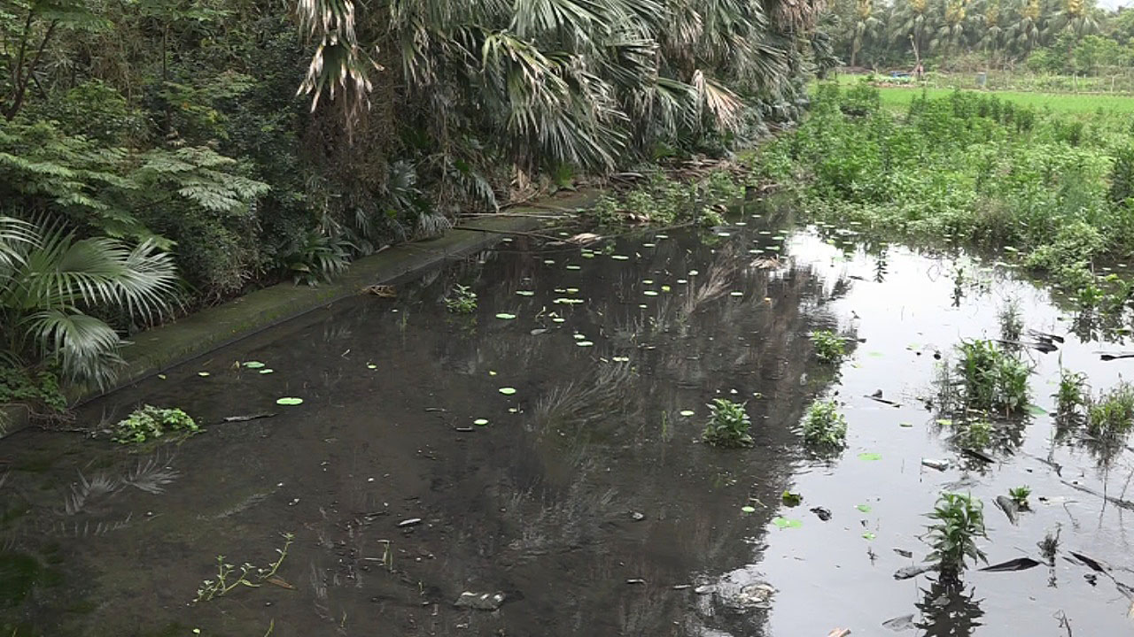 郭的汙染農地