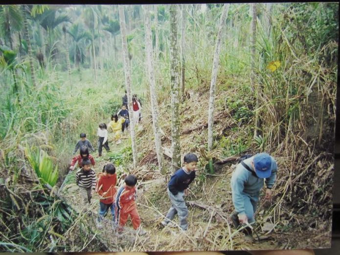 近20年前戶外教學照片，埔里生態園區教學與爬山。 